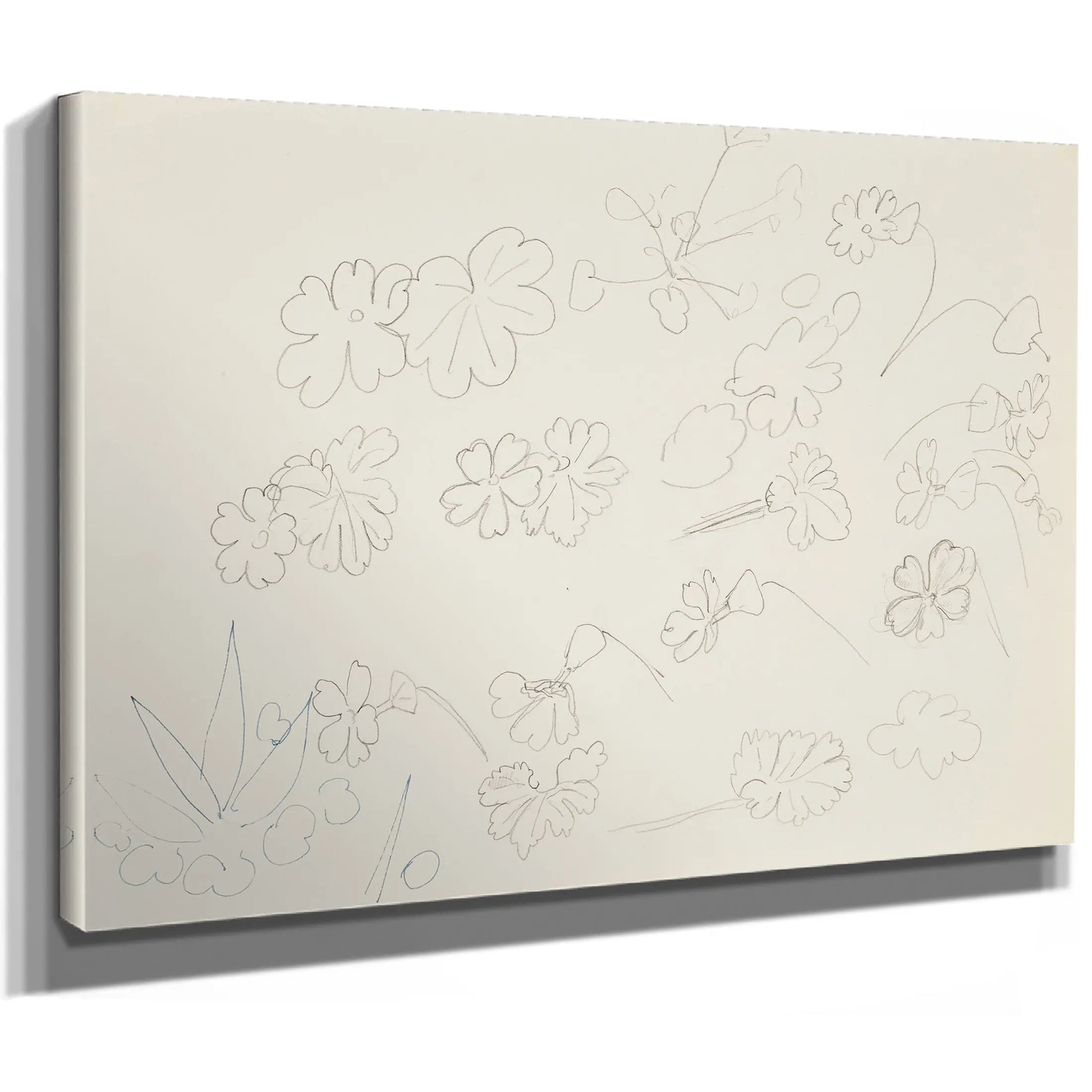 Fleurs (Flowers) Study Or Preparatory Drawing by Henri Matisse