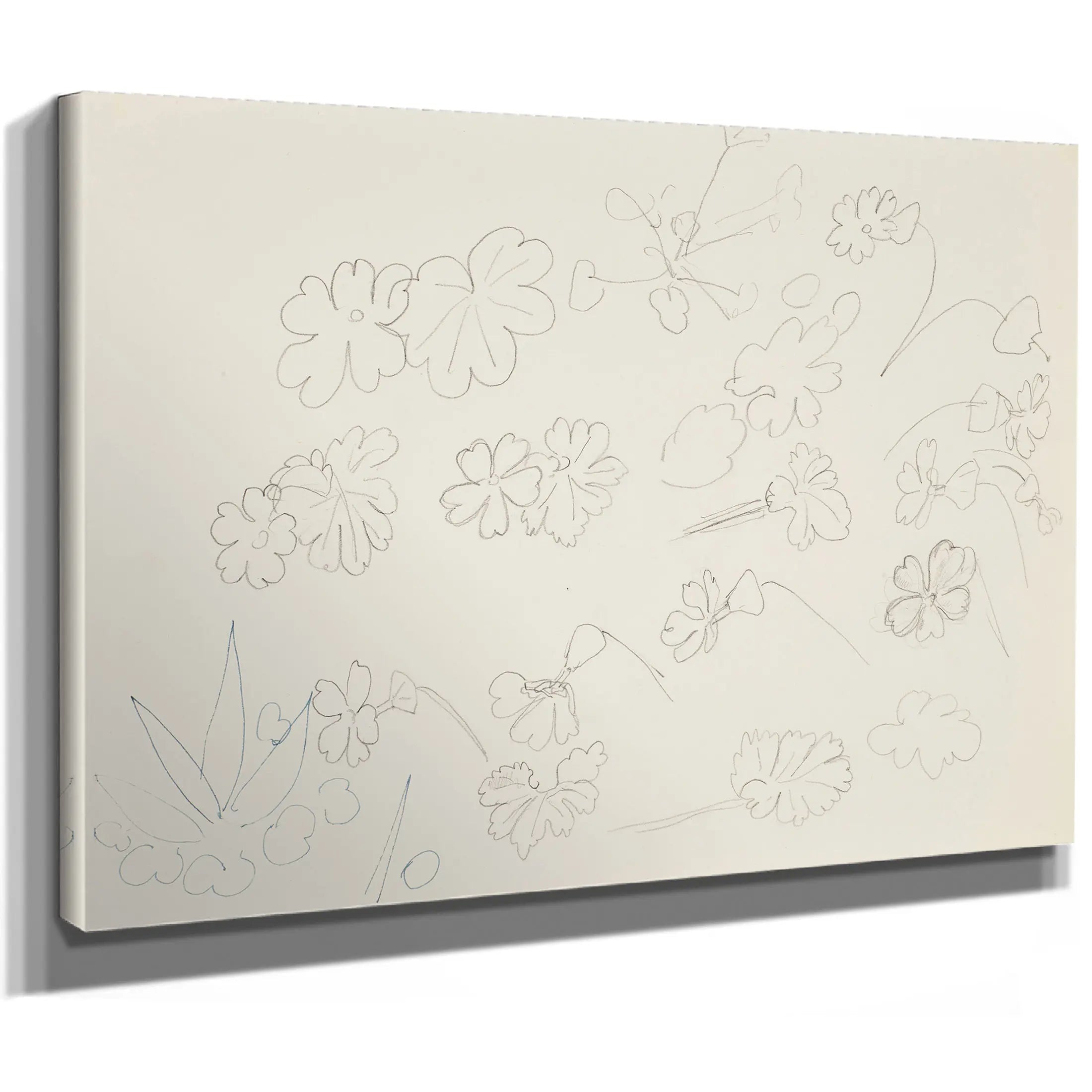 Fleurs (Flowers) Study Or Preparatory Drawing by Henri Matisse