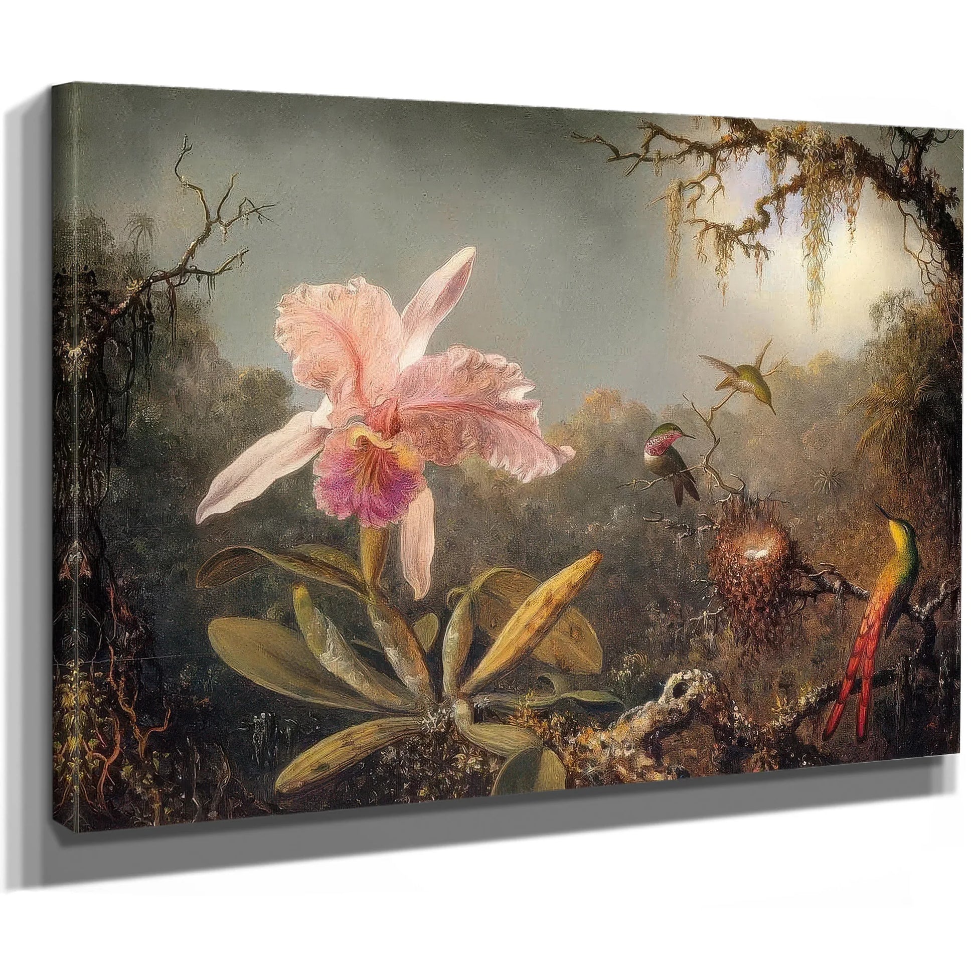 Cattleya Orchid And Three Brtazilian Hummingbirds By Martin Johnson Heade Fine Art Print