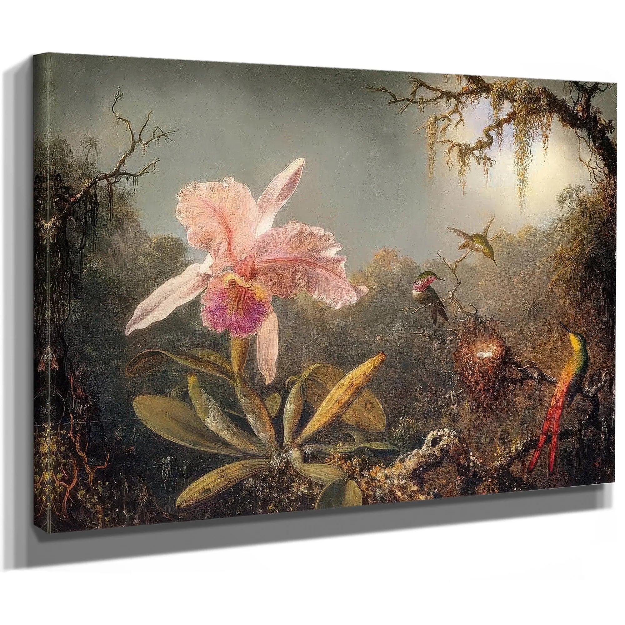 Cattleya Orchid And Three Brtazilian Hummingbirds By Martin Johnson Heade Fine Art Print