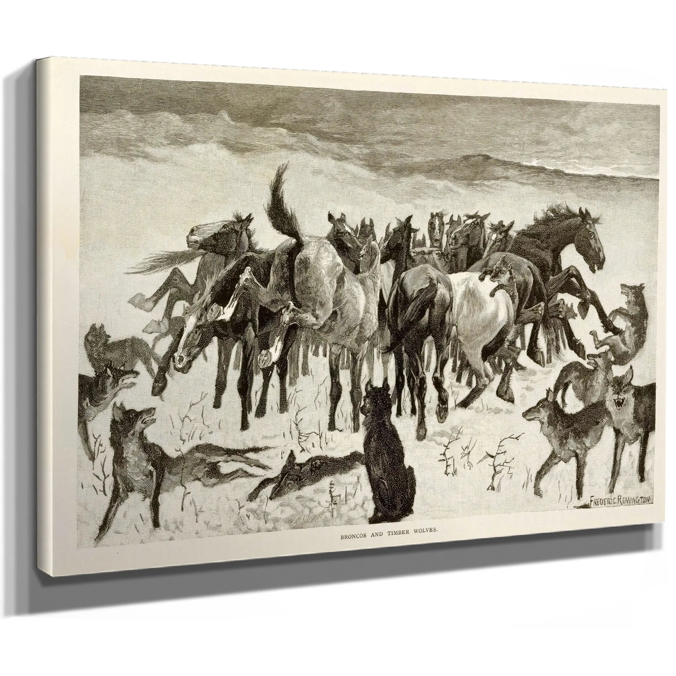 Broncos And Timber Wolves by Frederic Remington