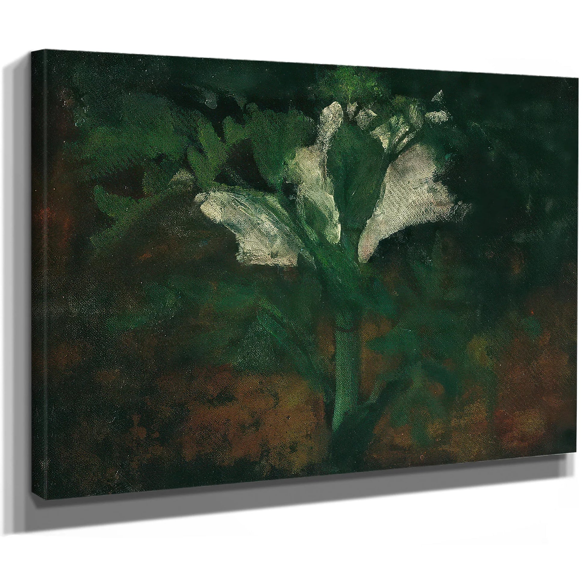 White Flower By Nicolai Astrup Fine Art Print