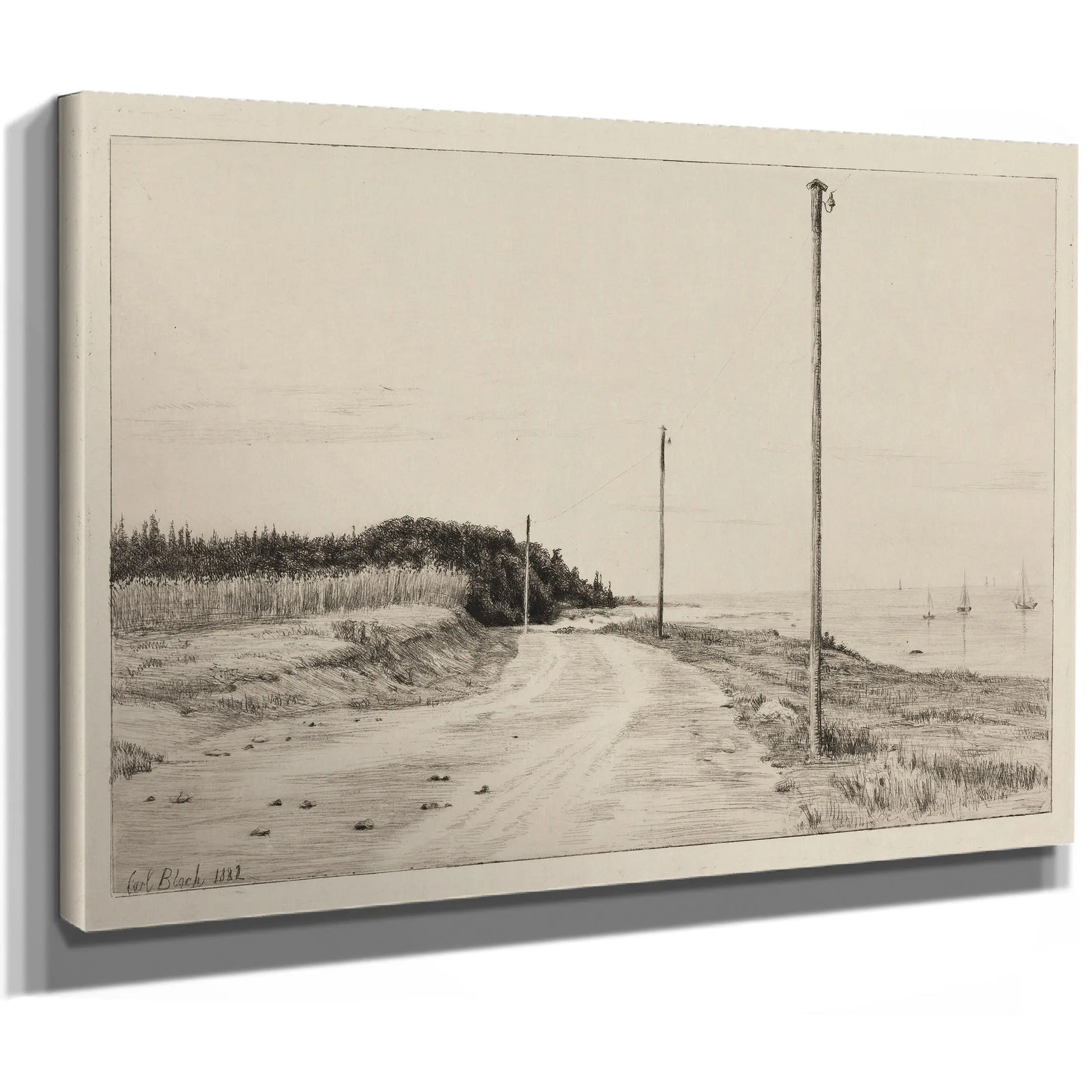 Strandvejen Ved Hornbaeksplantagen by Carl Bloch