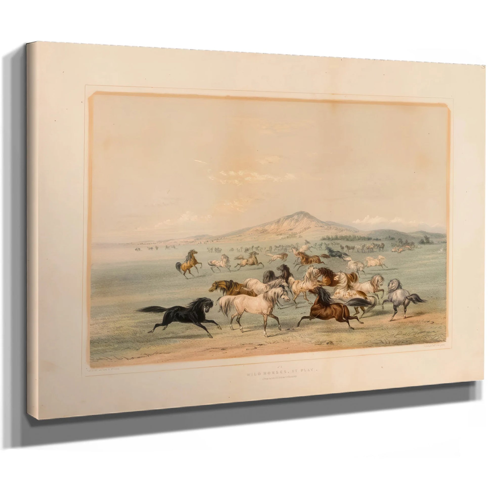 Wild Horses At Play No. 3 By George Catlin Fine Art Print