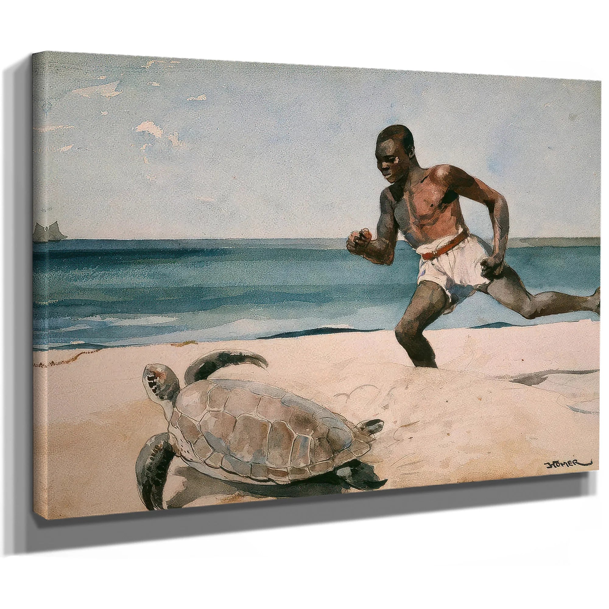 Rum Cay By Winslow Homer Fine Art Print