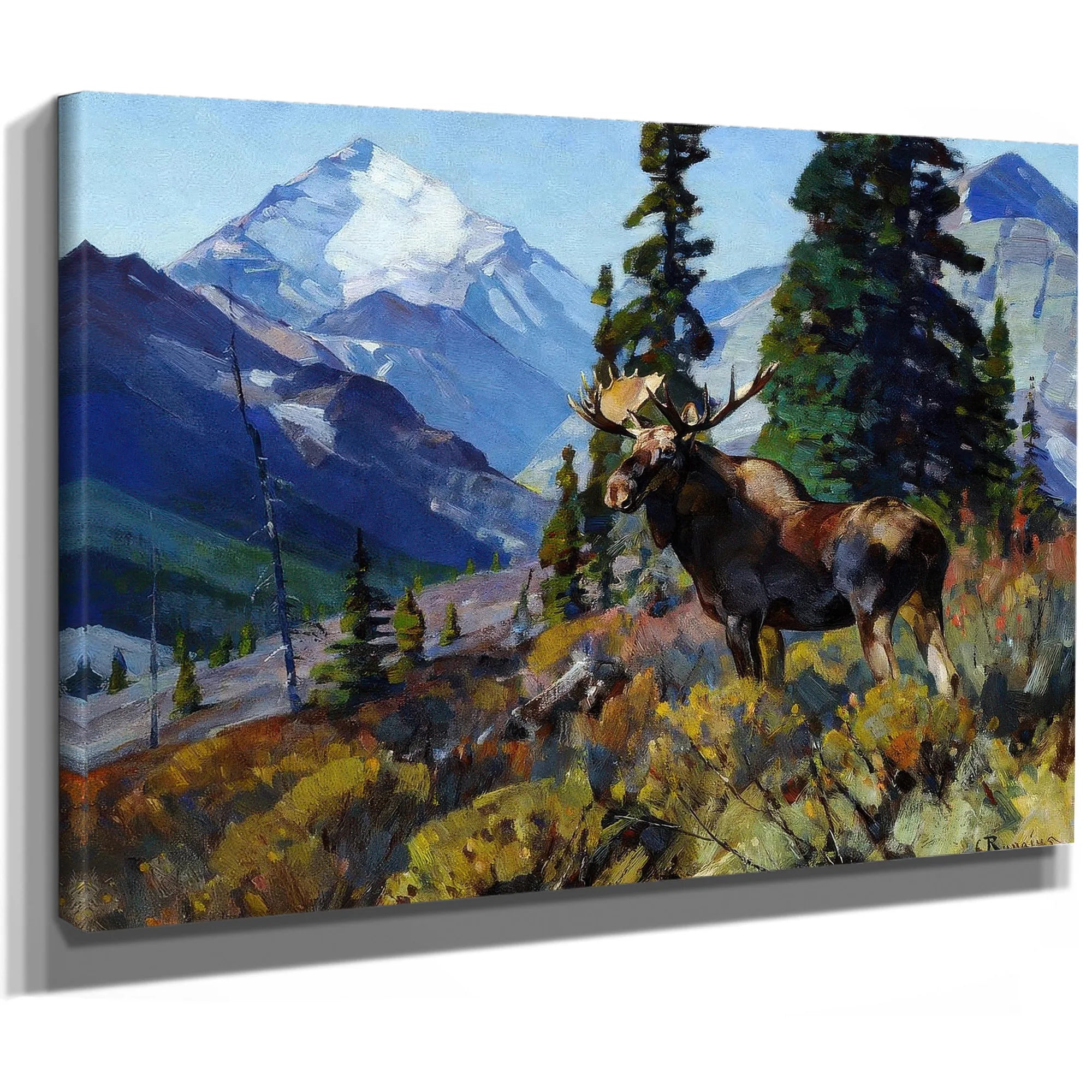 Moose On The Head Of Ram River By Carl Rungius Fine Art Print