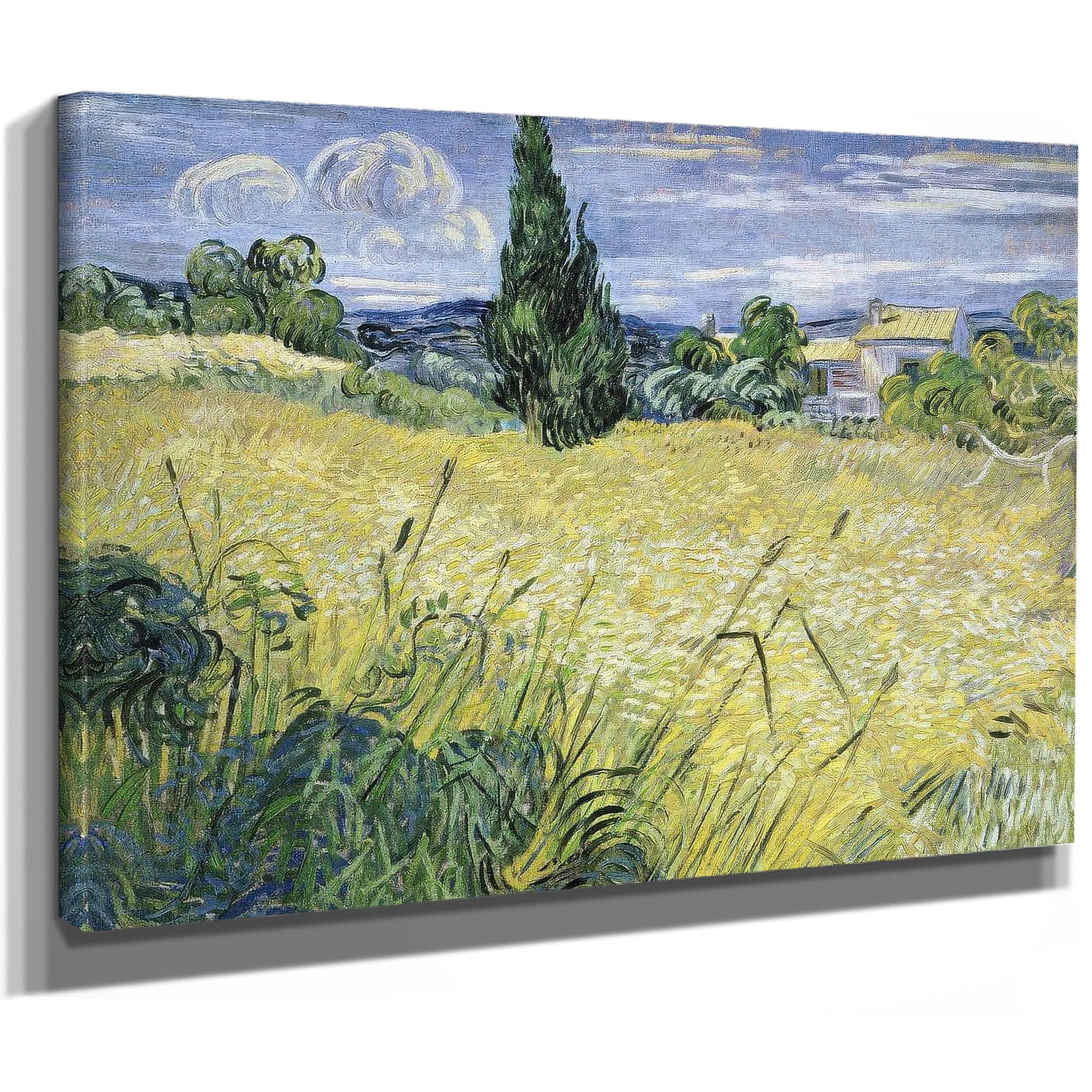 Landscape With Green Corn By Vincent Van Gogh Fine Art Print