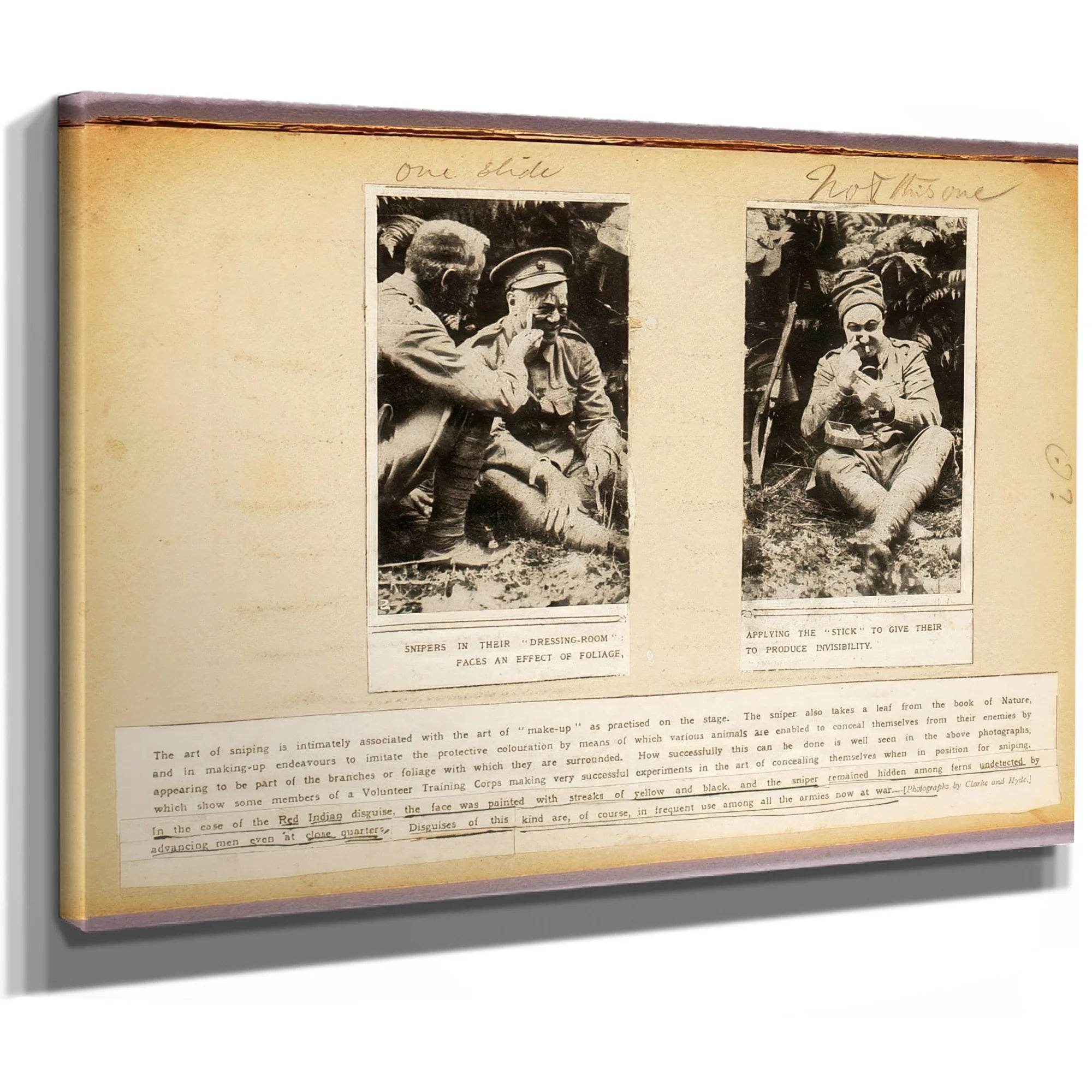 The Art Of Sniping, Study Folder For Book Concealing Coloration In The Animal Kingdom By Abbott Handerson Thayer Fine Art Print