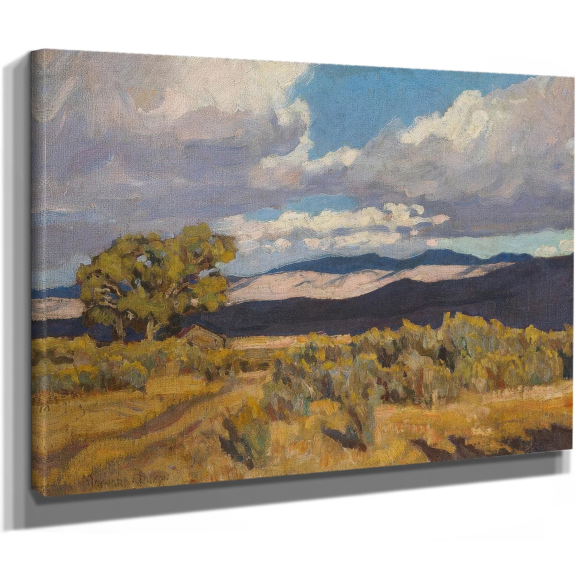 Storm Shadows On Coso Range 1919 By Maynard Dixon Fine Art Print