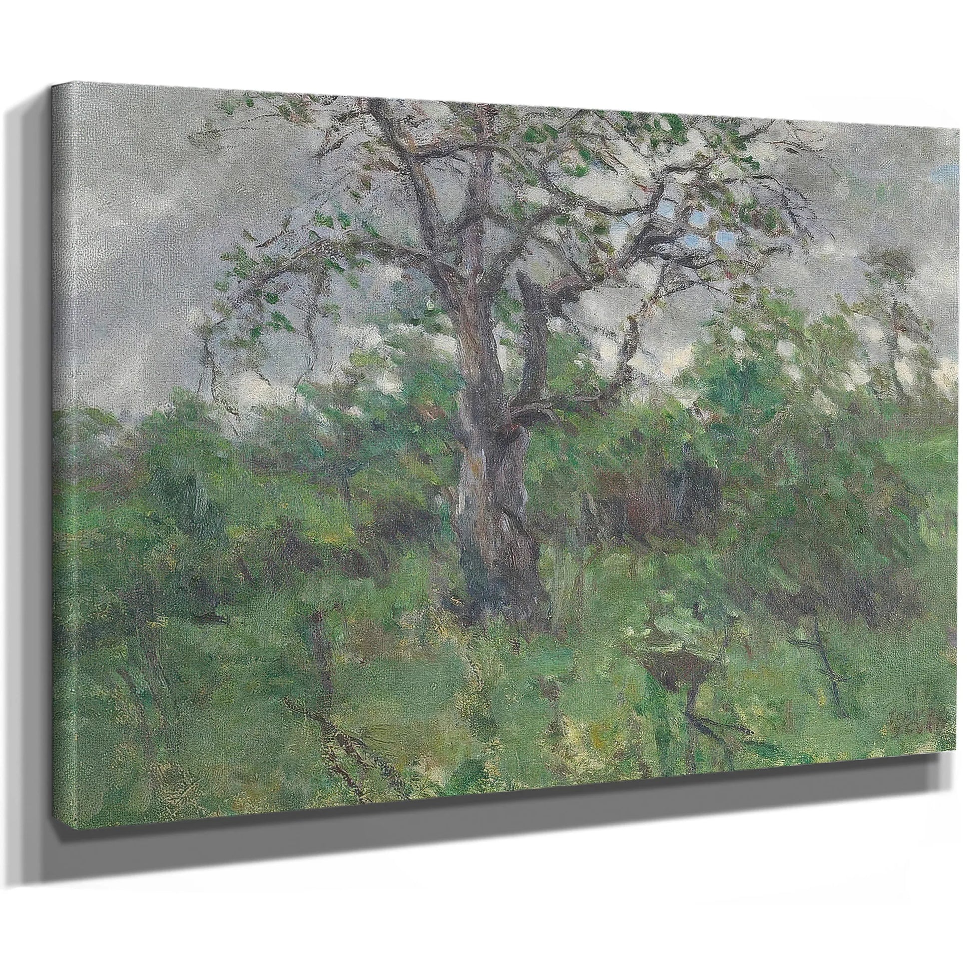 A Landscape With Tree, Spring By John Steuart Curry Fine Art Print