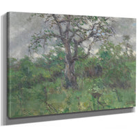 A Landscape With Tree, Spring By John Steuart Curry