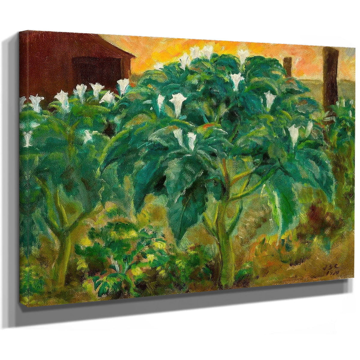 Night Flower By John Steuart Curry