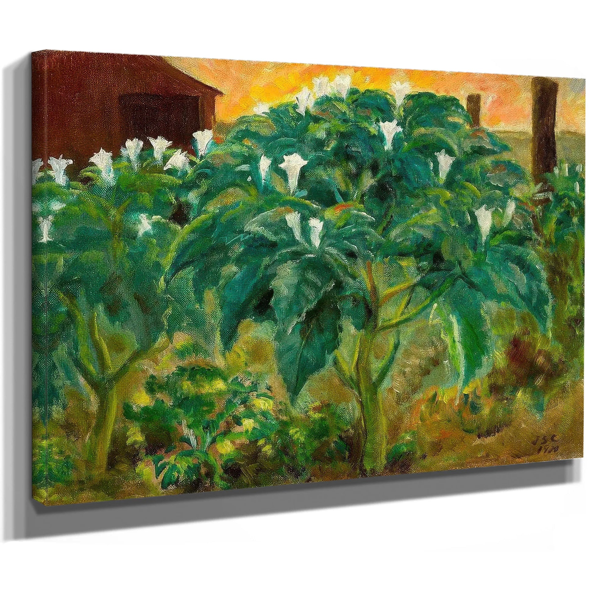 Night Flower By John Steuart Curry Fine Art Print