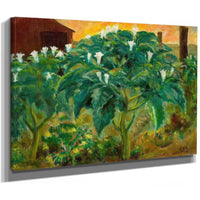 Night Flower By John Steuart Curry