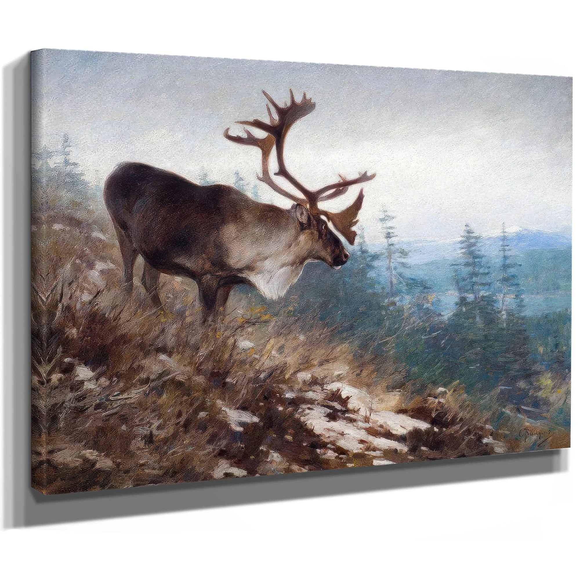 Yukon King Caribou By Carl Rungius Fine Art Print