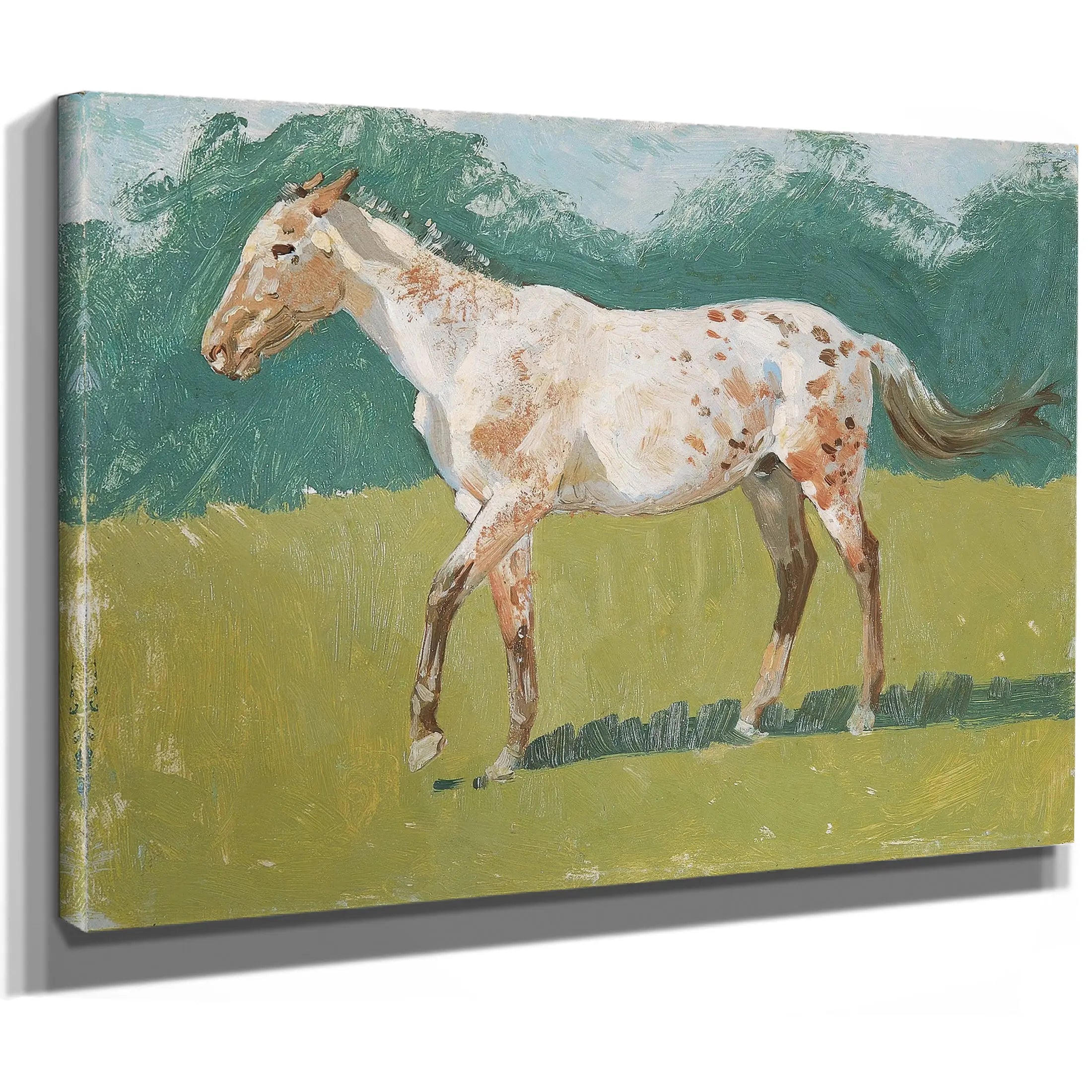 Untitled Horse Study D by Frederic Remington