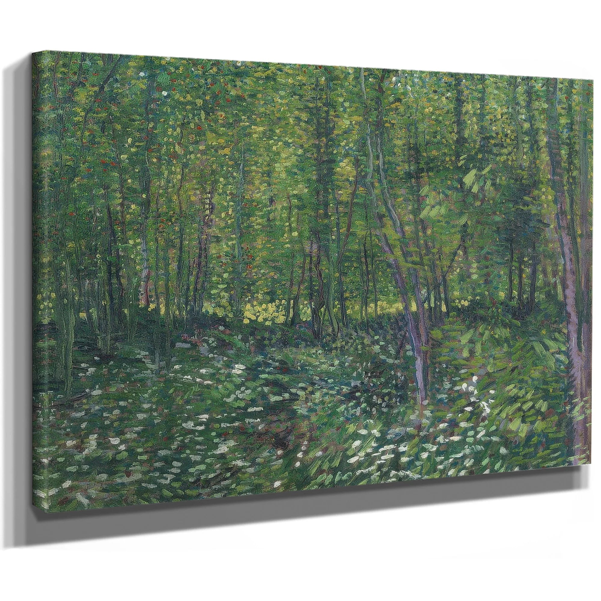 Trees And Undergrowth By Vincent Van Gogh Fine Art Print