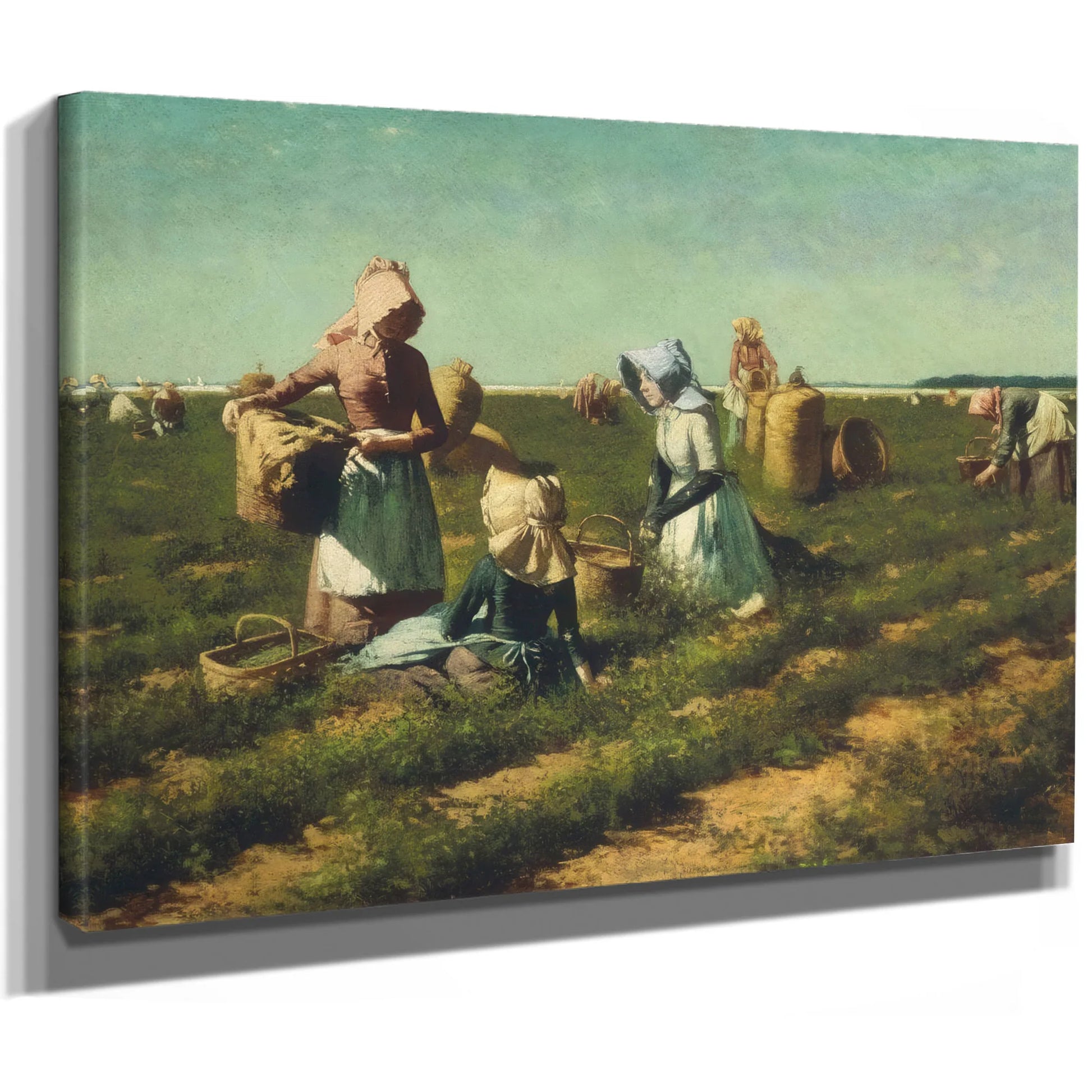 The Peapickers Of Long Island By Harry Roseland Fine Art Print
