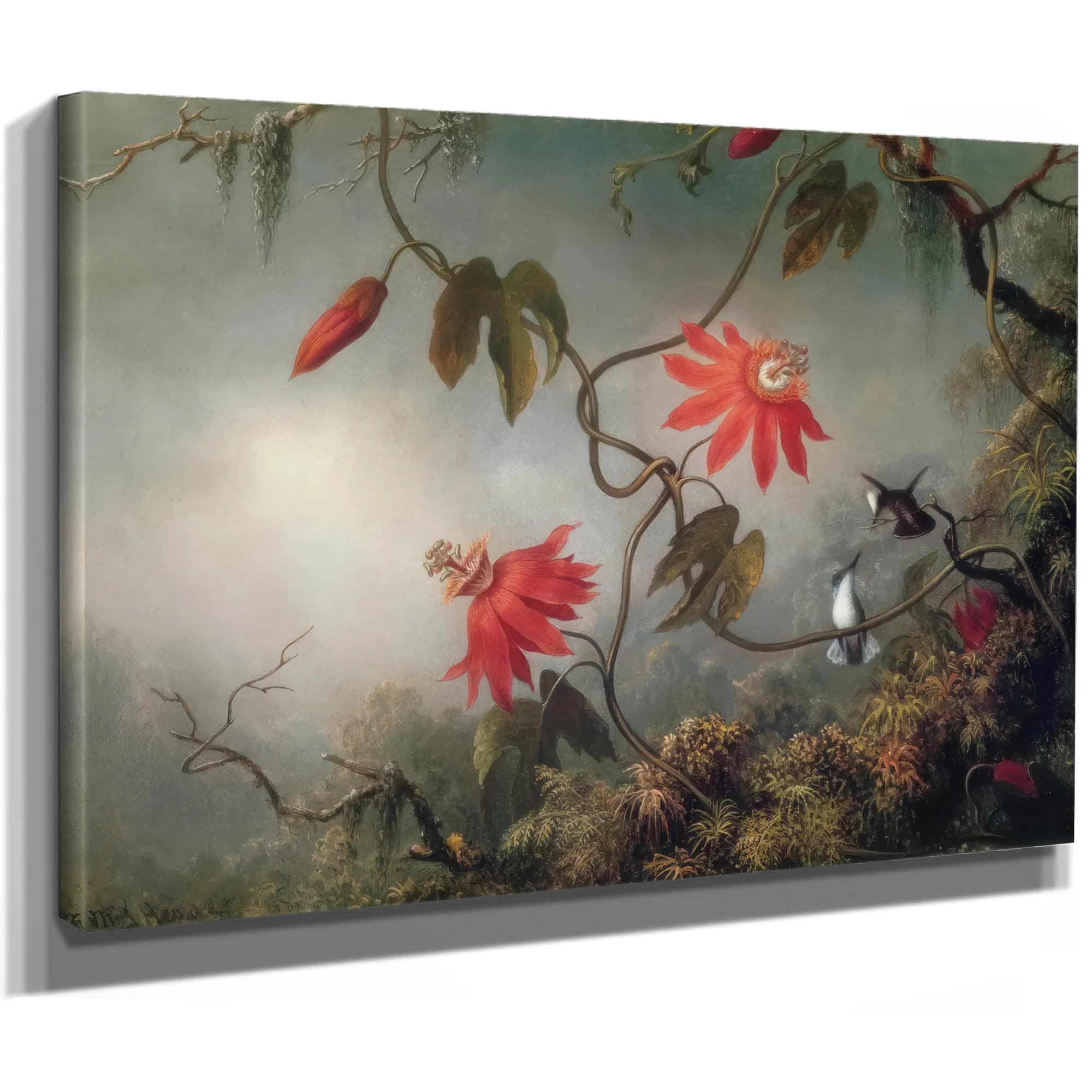 Passion Flowers And Hummingbirds By Martin Johnson Heade Fine Art Print