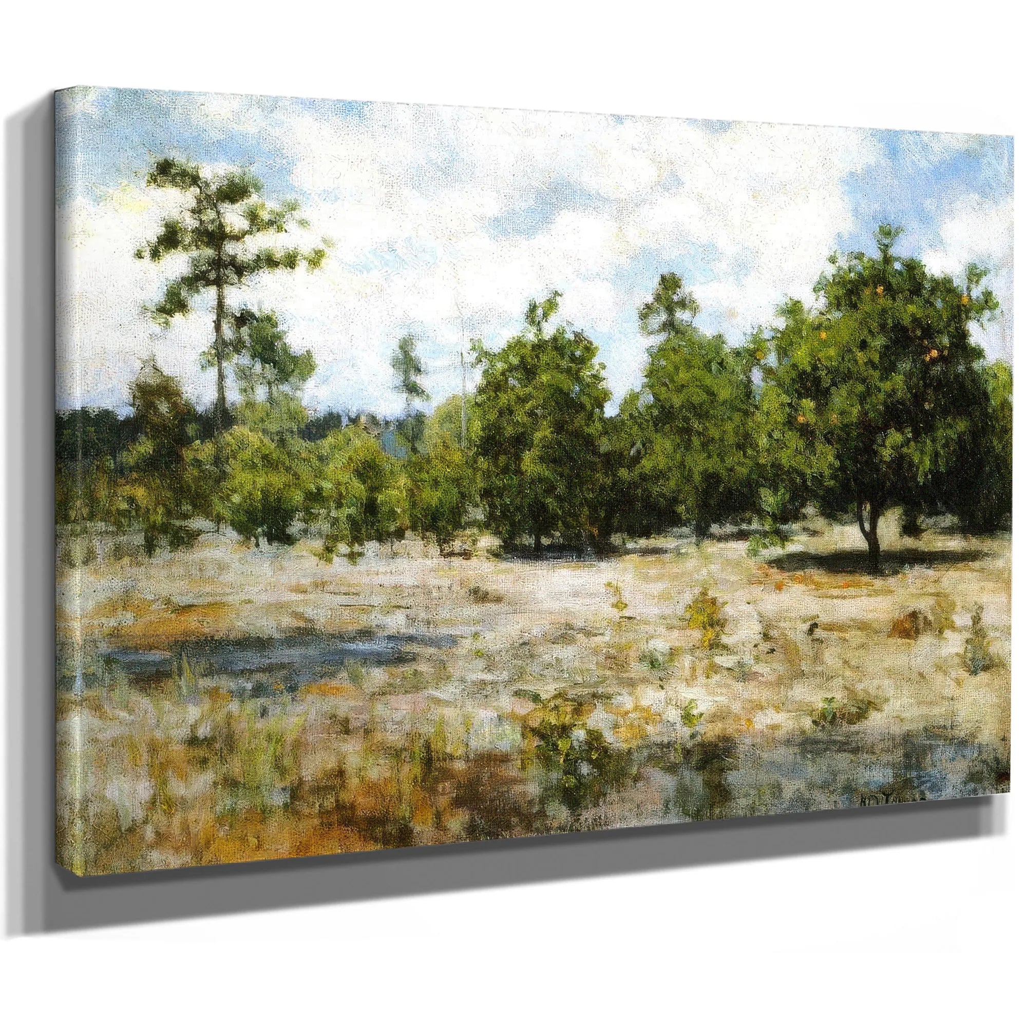 Florida1 By Henry Ossawa Tanner Fine Art Print