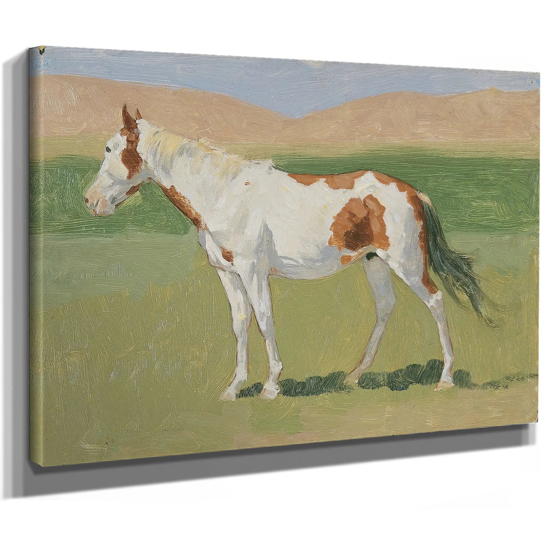 Untitled Horse Study F by Frederic Remington