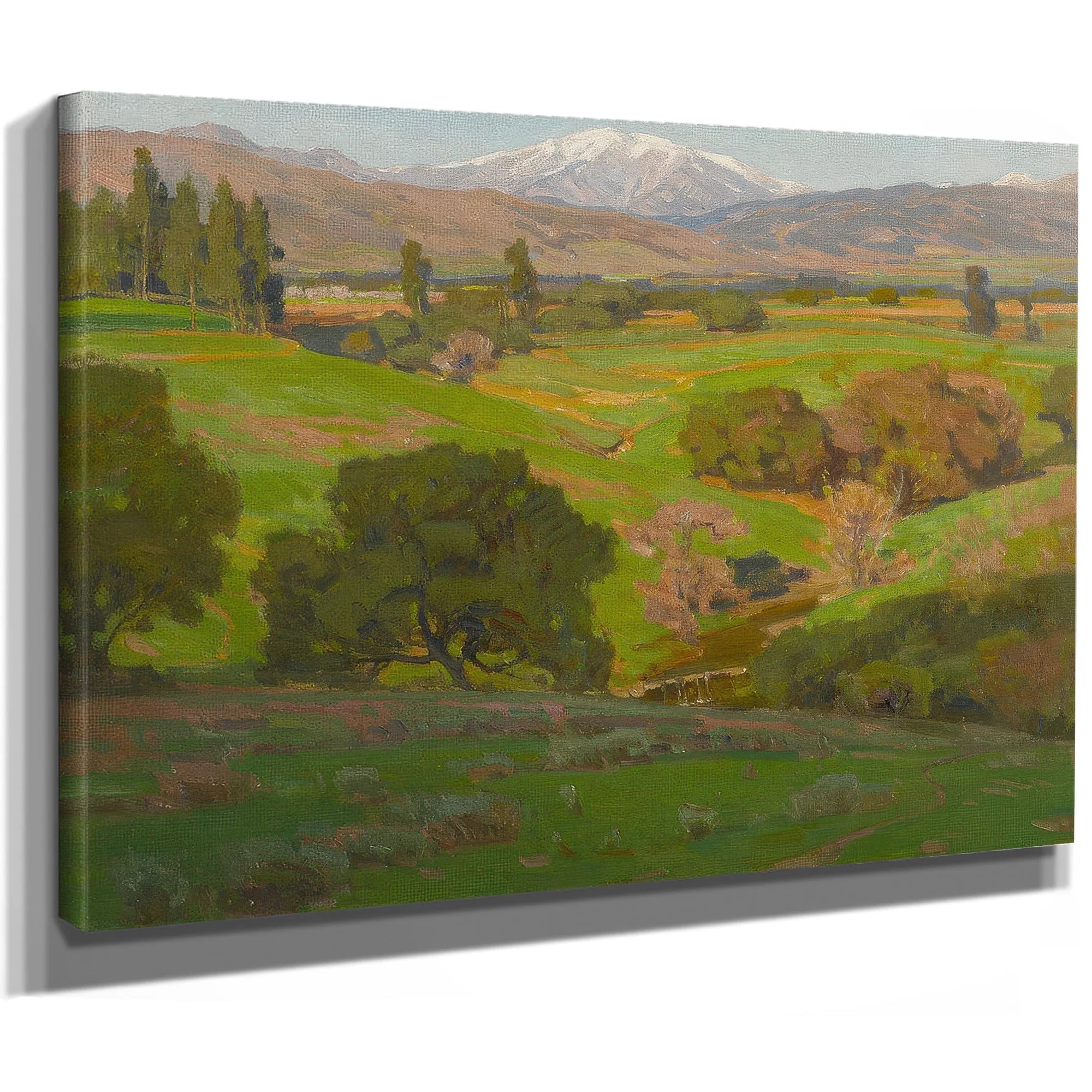 A Vista Towards Mt. Baldy By William Wendt Fine Art Print