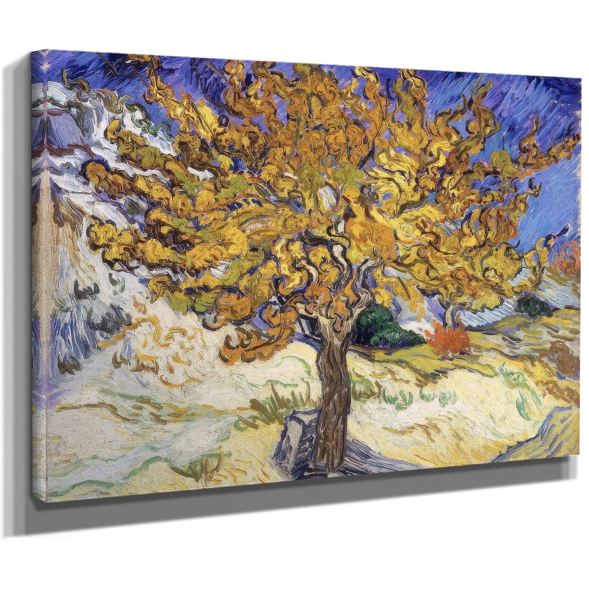 Mulberry Tree By Vincent Van Gogh Fine Art Print