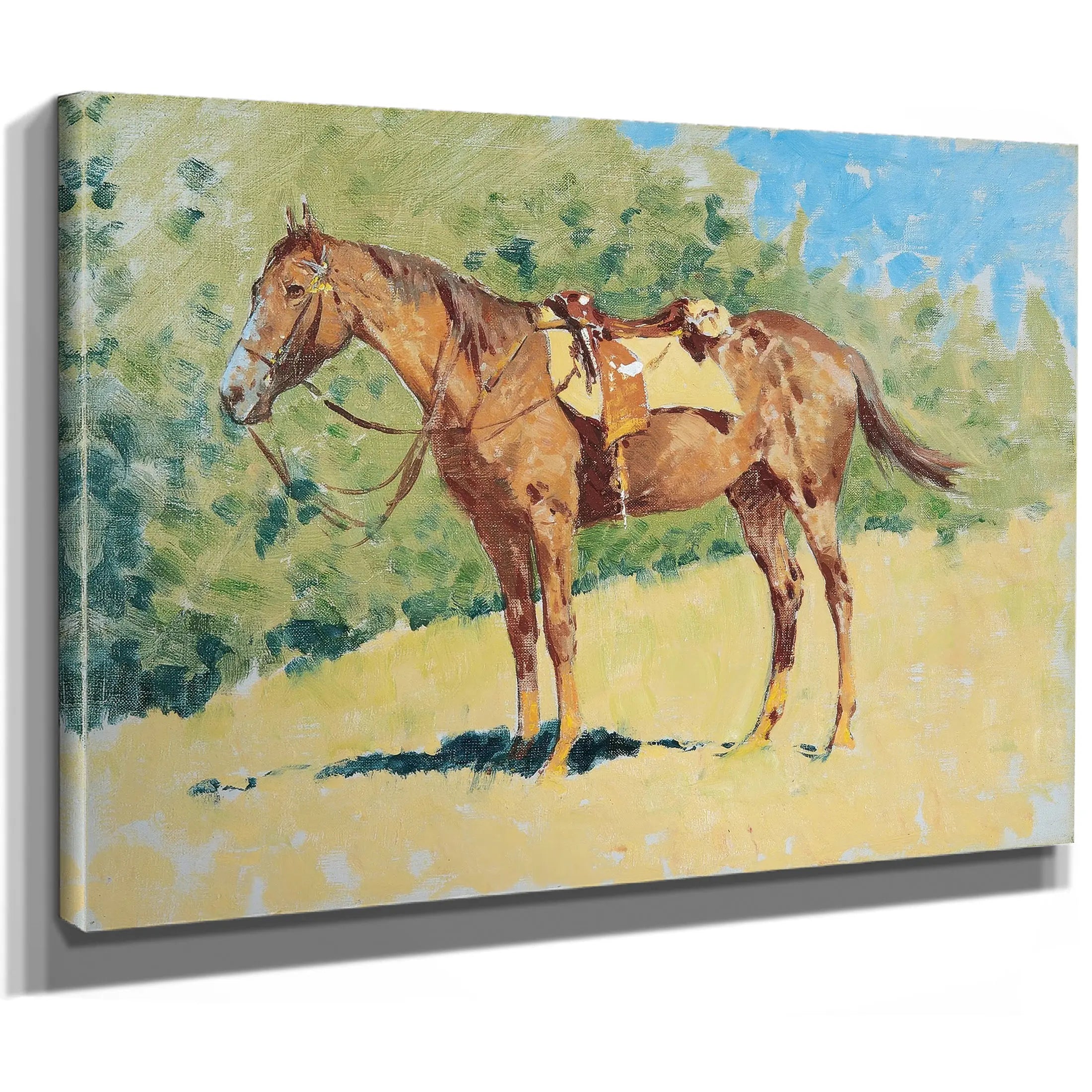 Untitled Horse Study B by Frederic Remington