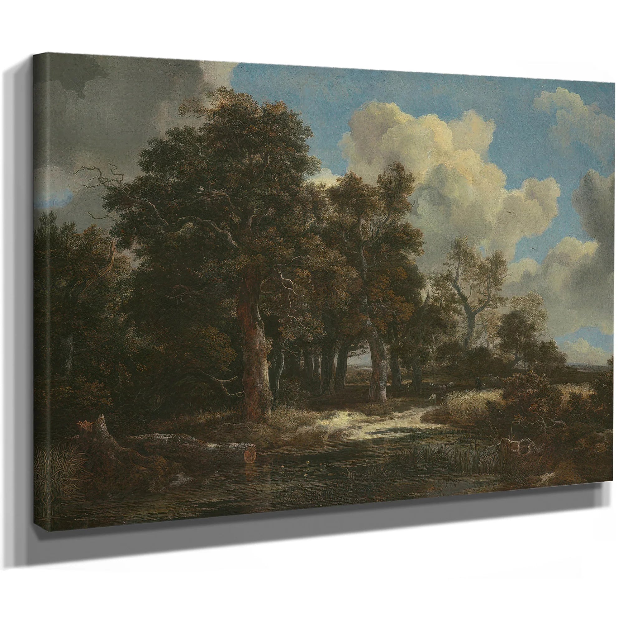 Edge Of A Forest With A Grainfield By Jacob Van Ruisdael Fine Art Print