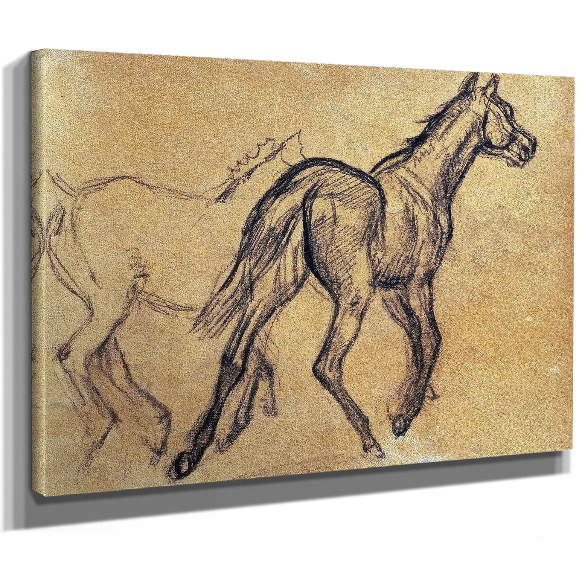 Horses By Edgar Degas Fine Art Print