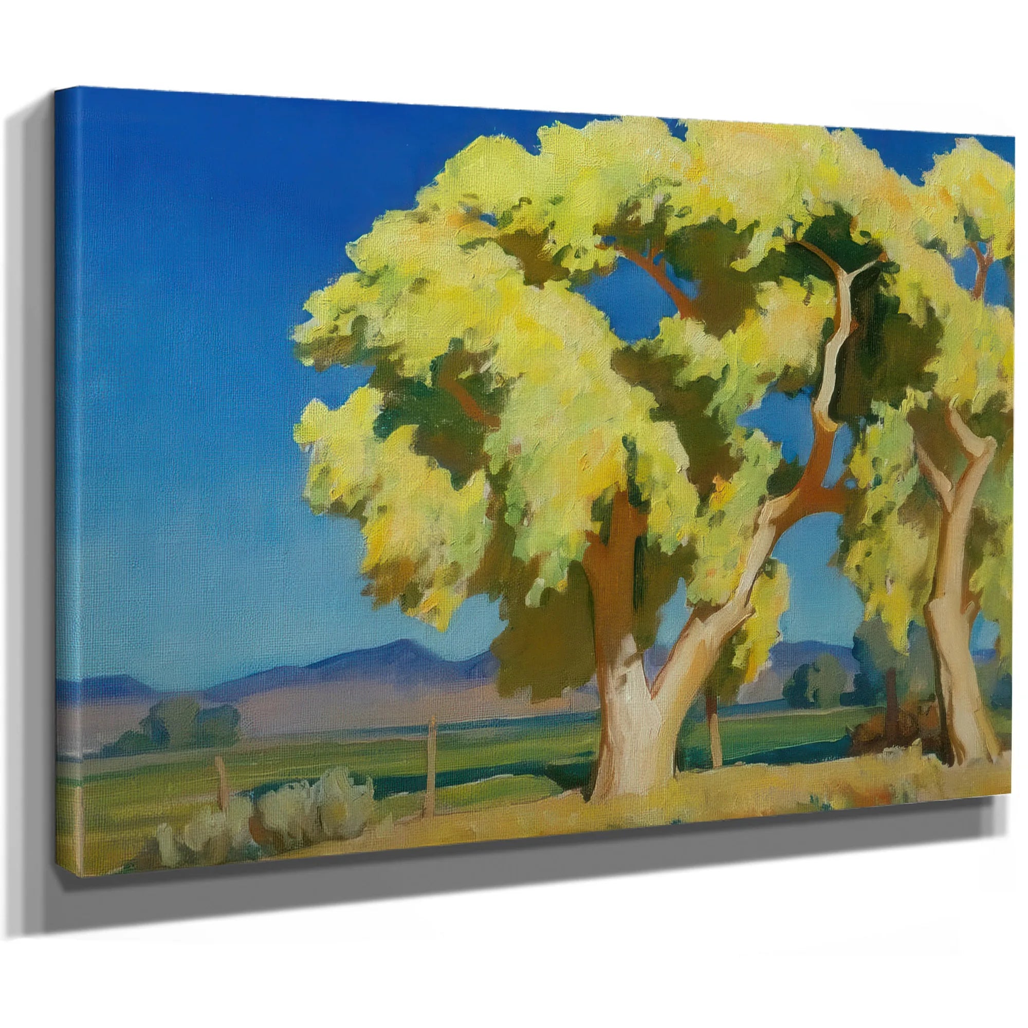 Young Cottonwoods By Maynard Dixon Fine Art Print
