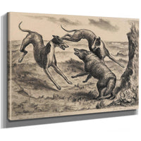 Hounds And Coyote (C. 12), 1931 By John Steuart Curry