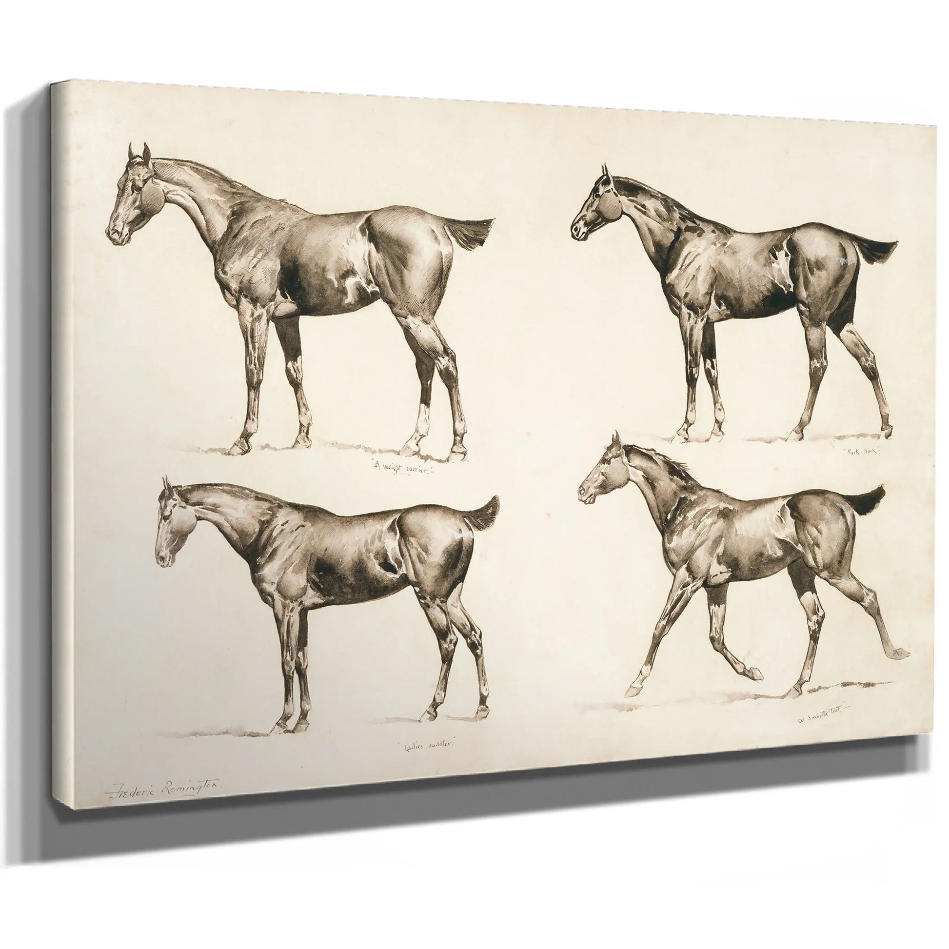 Types Of Saddle Horses by Frederic Remington