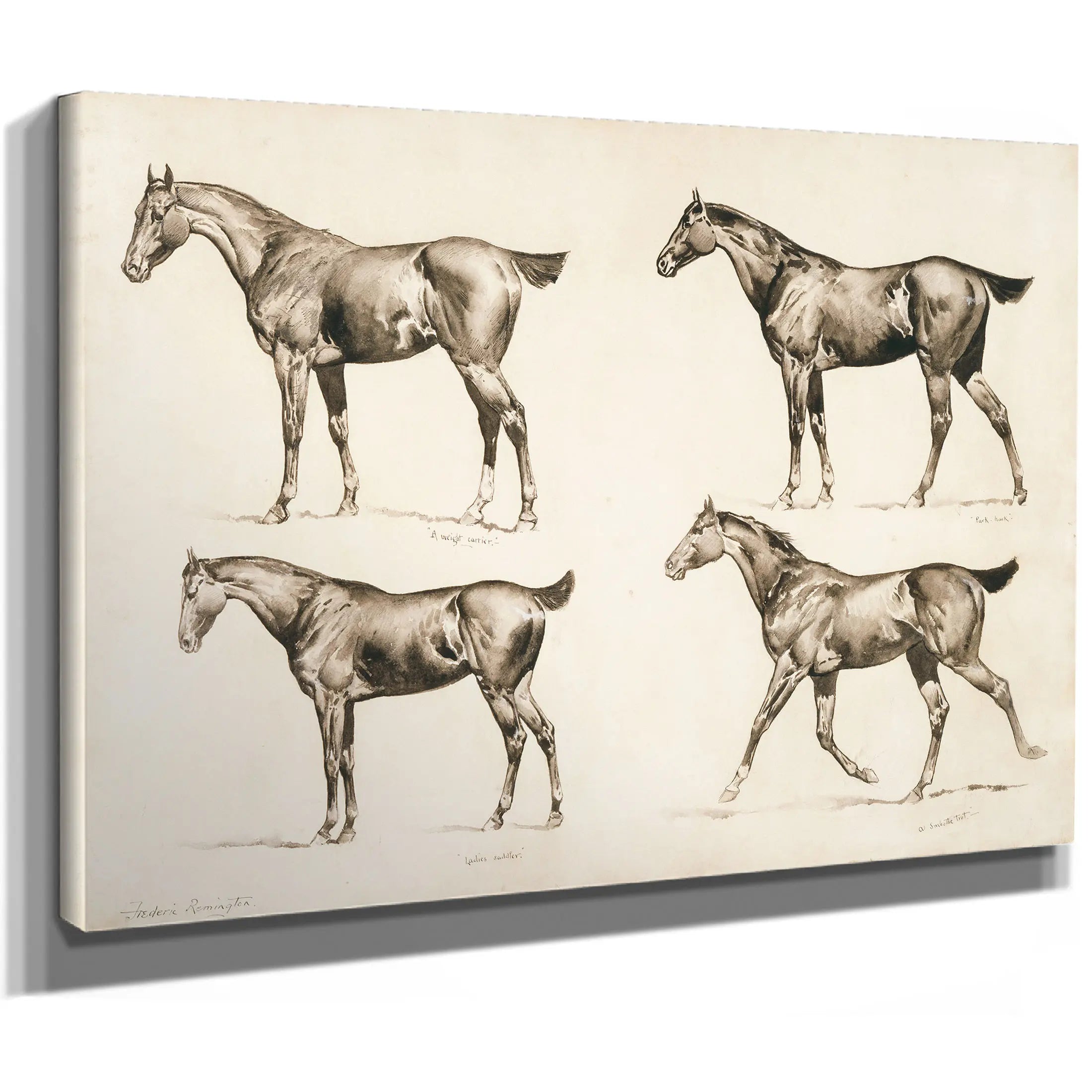 Types Of Saddle Horses by Frederic Remington