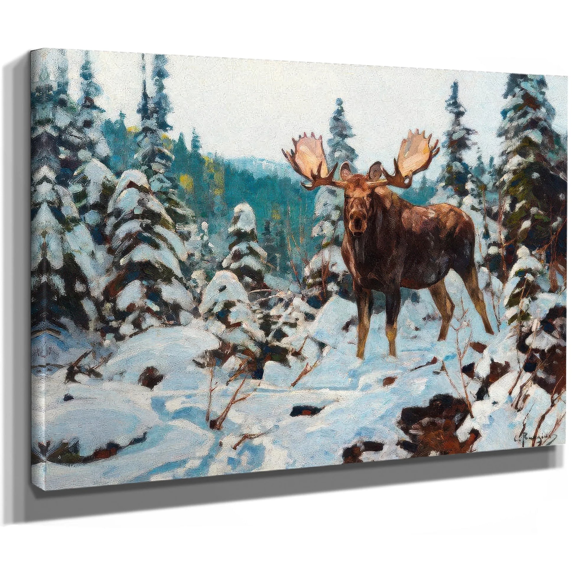 Bull Moose By Carl Rungius Fine Art Print