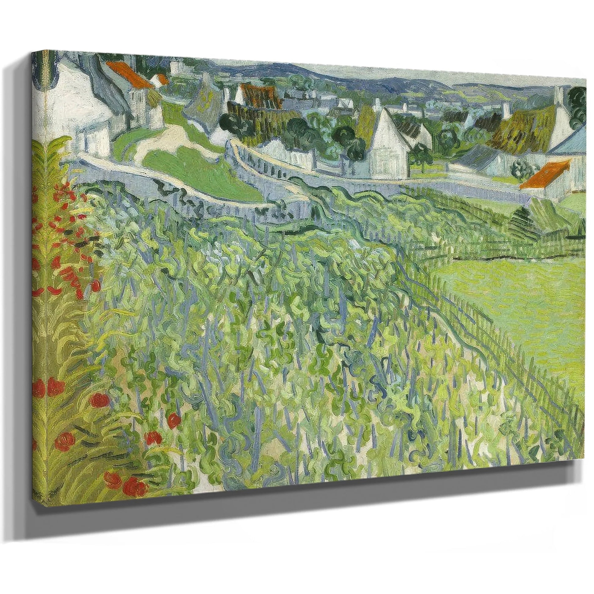 Vineyards At Auvers 3 By Vincent Van Gogh Fine Art Print