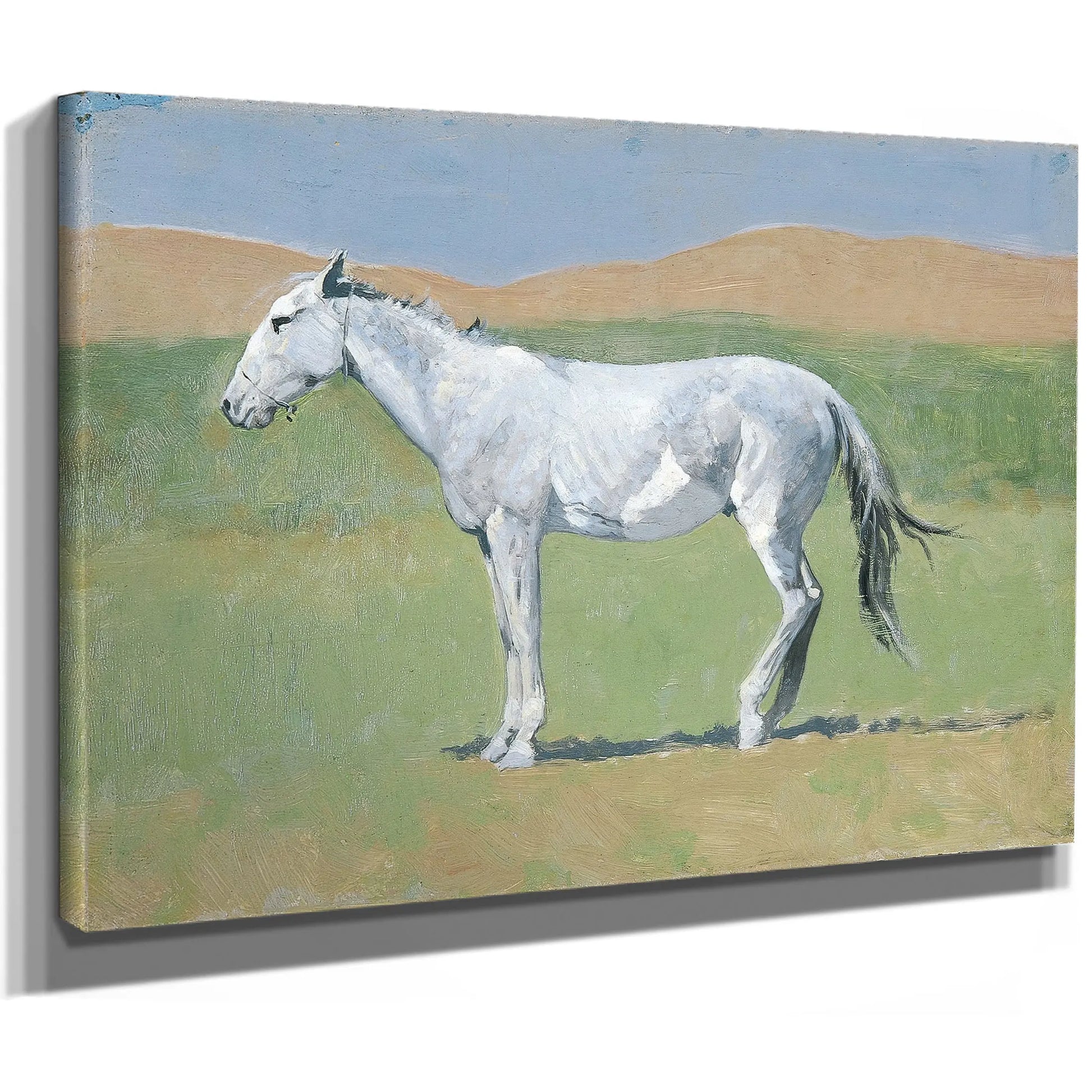 Untitled Horse Study E by Frederic Remington