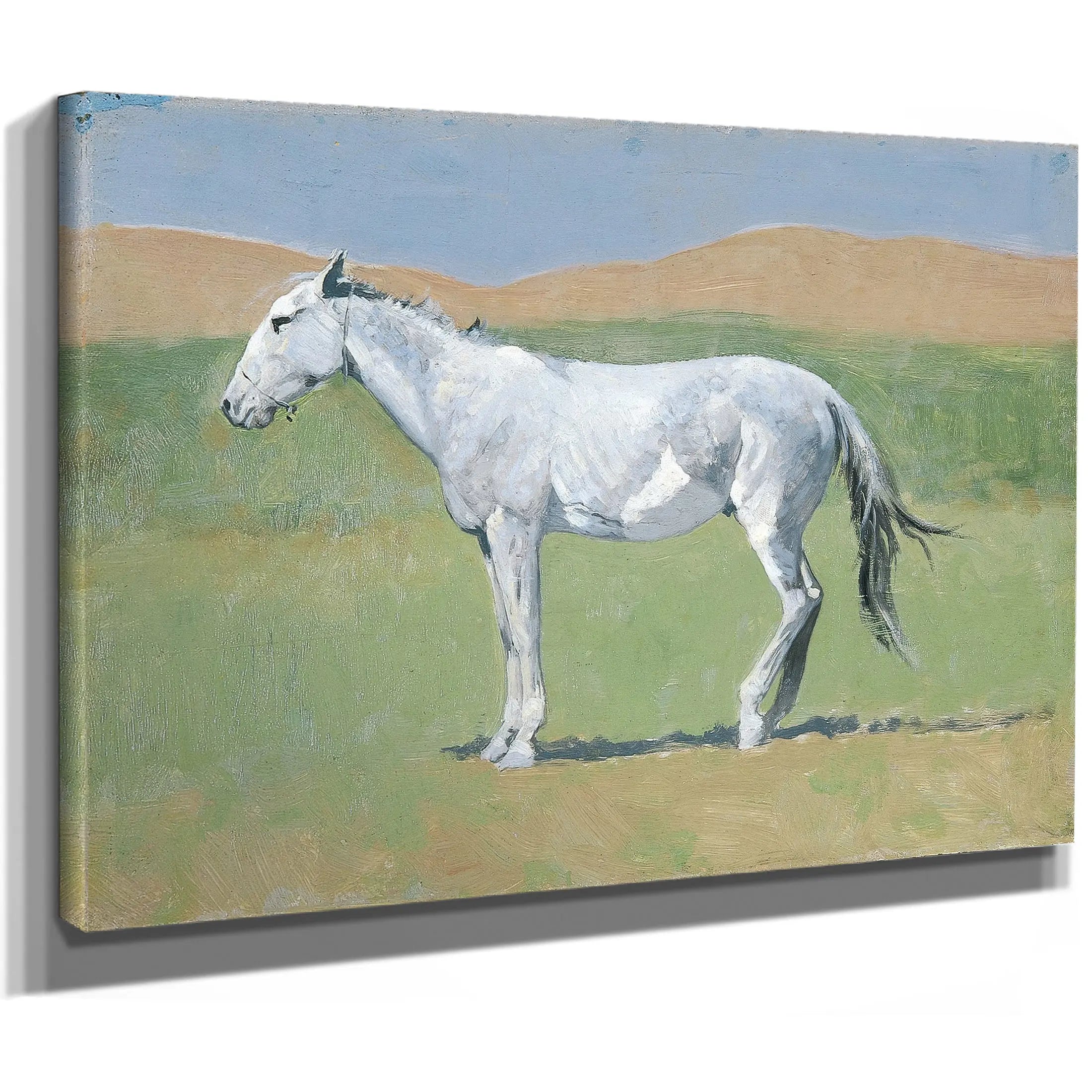 Untitled Horse Study E by Frederic Remington