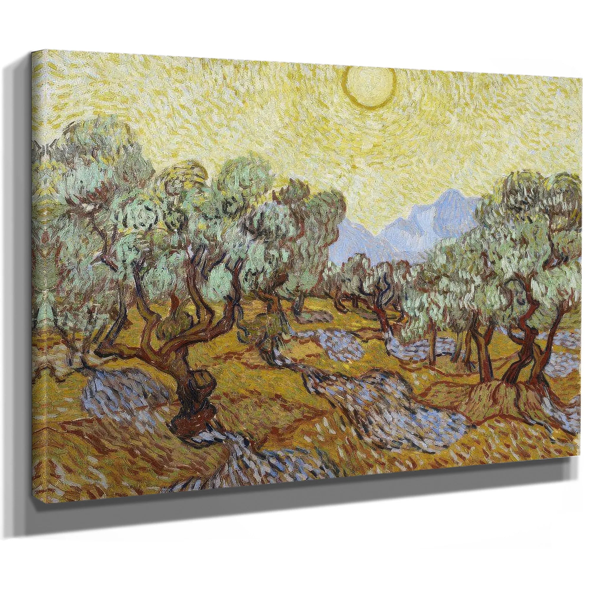 Olive Trees By Vincent Van Gogh Fine Art Print