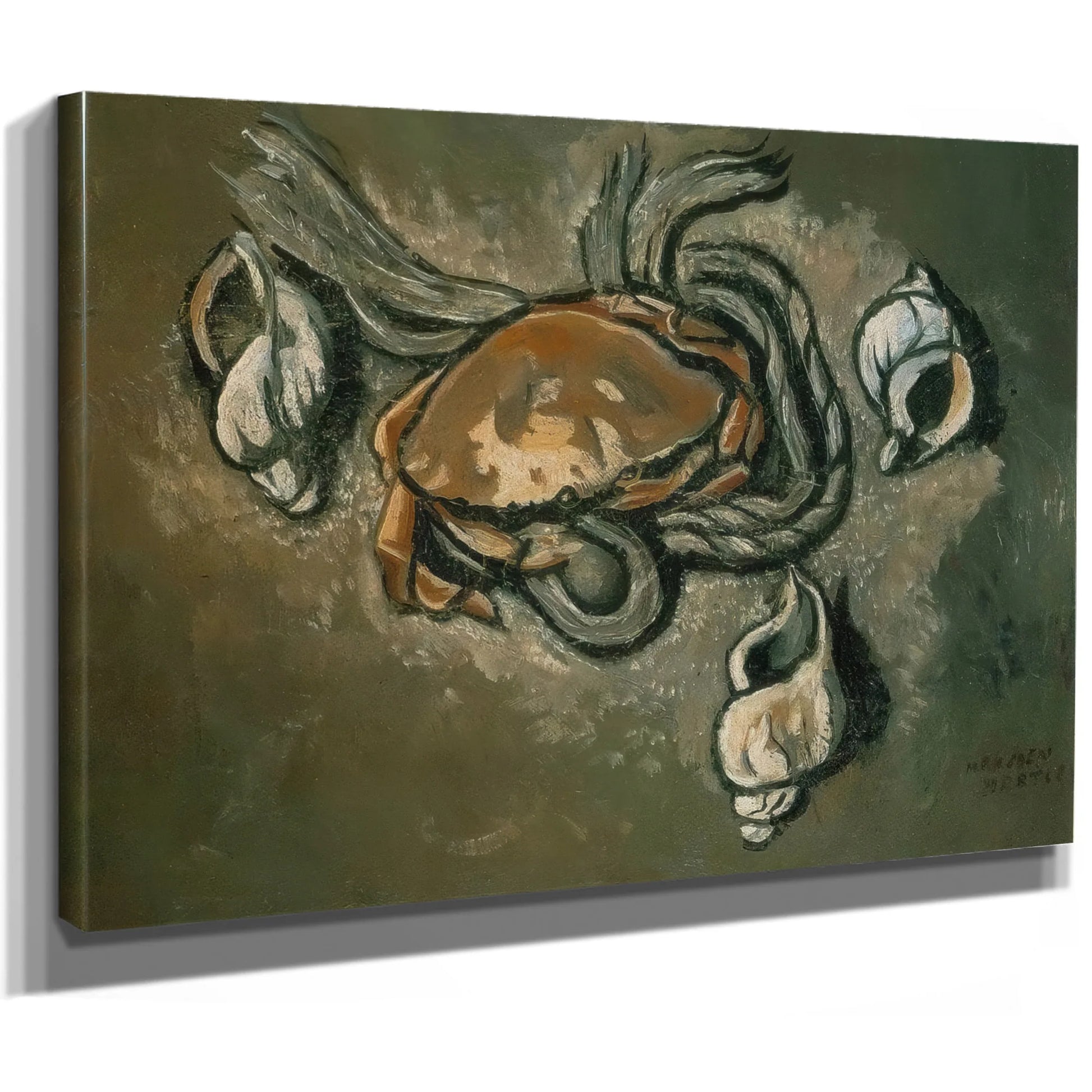 Crab Rope Seashells By Marsden Hartley Fine Art Print