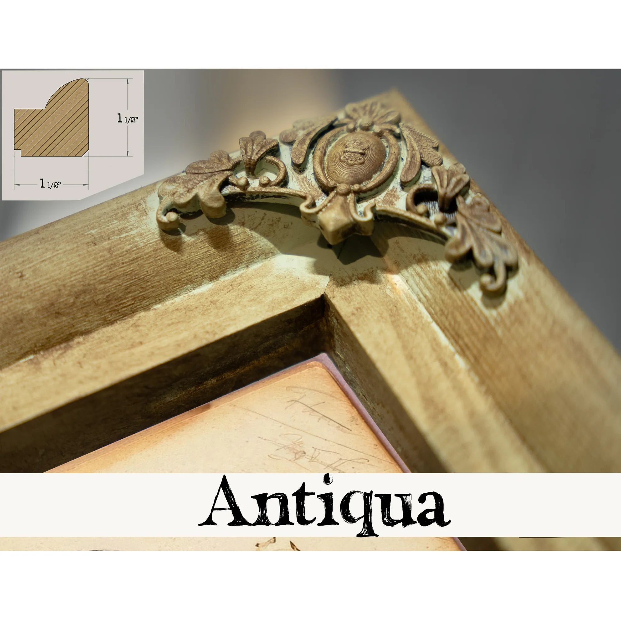 Woodpecker, Study Folder For Book Concealing Coloration In The Animal Kingdom By Abbott Handerson Thayer Fine Art Print