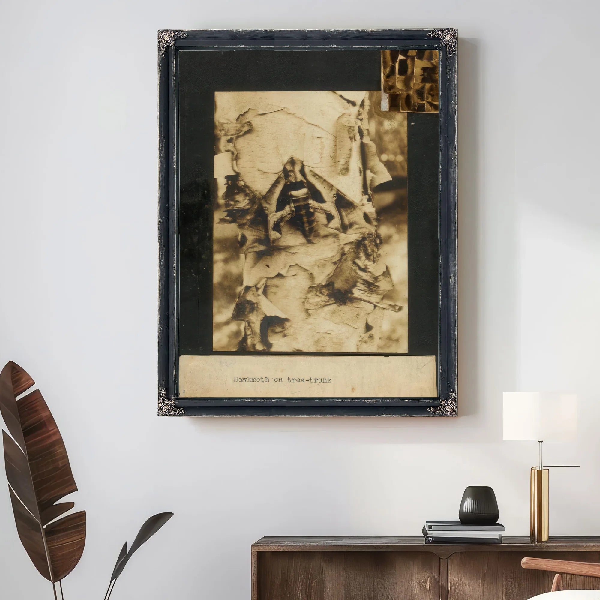 Hawkmoth On Tree Trunk, Study Folder For Book Concealing Coloration In The Animal Kingdom By Abbott Handerson Thayer Fine Art Print
