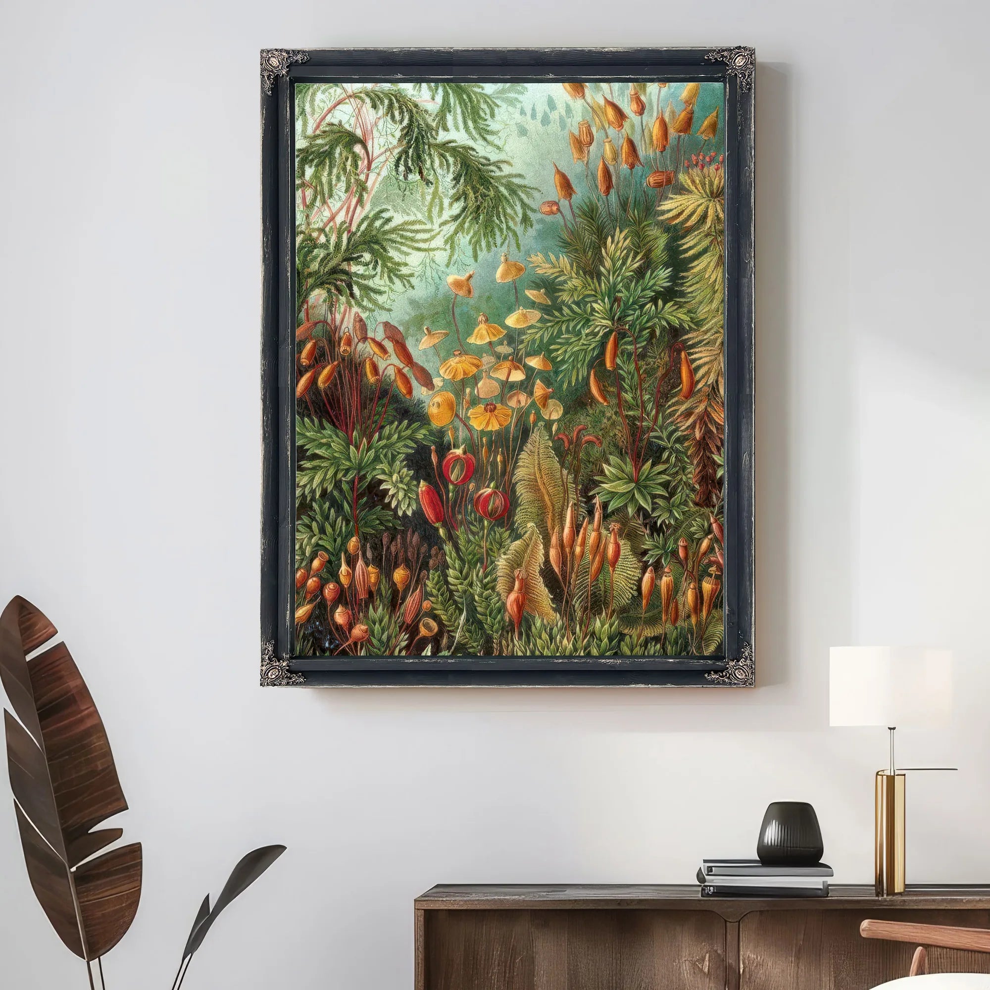 Art Forms In Nature Plate 72 Muscinae 1904 By Ernst Haeckel Fine Art Print