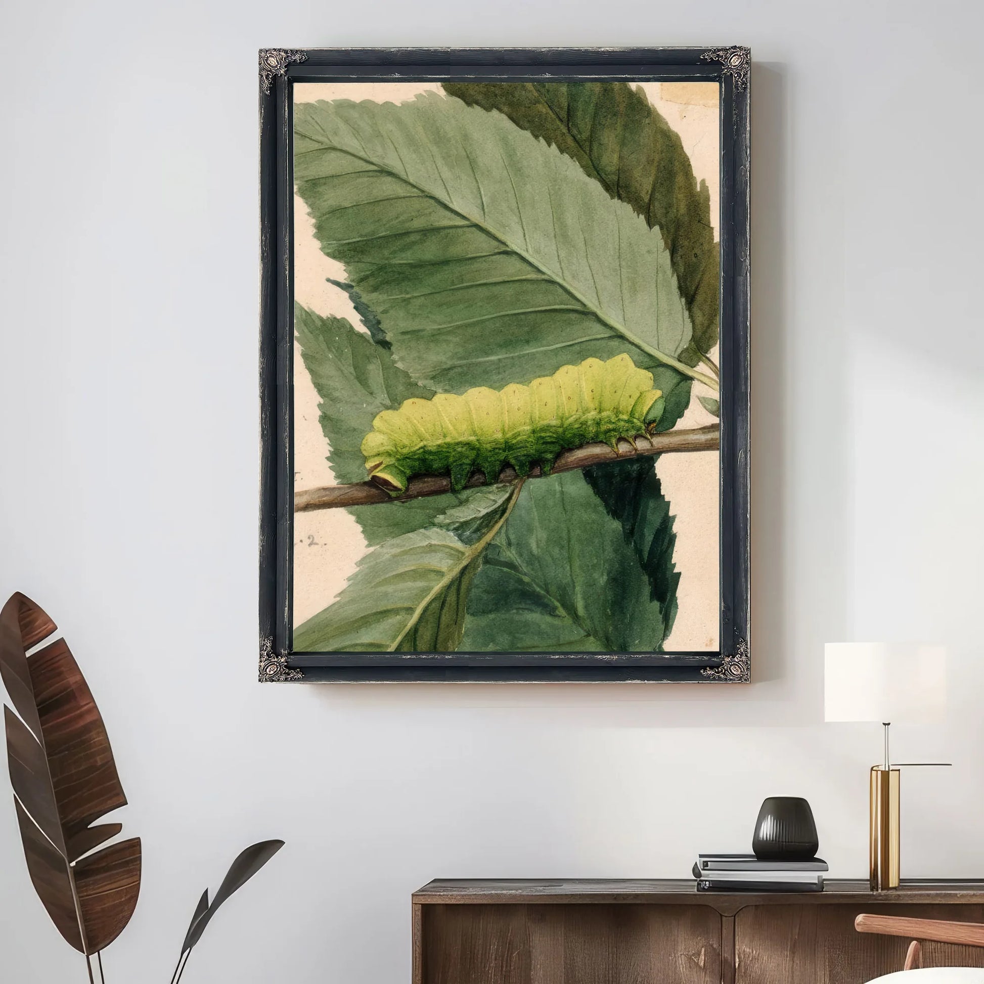 Lunar Caterpillar, Study For Book Concealing Coloration In The Animal Kingdom 1 By Abbott Handerson Thayer Fine Art Print