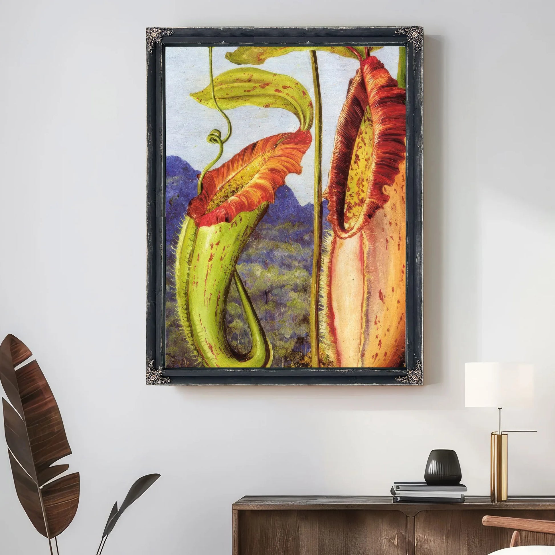Nepenthes Northiana By Marianne North Fine Art Print