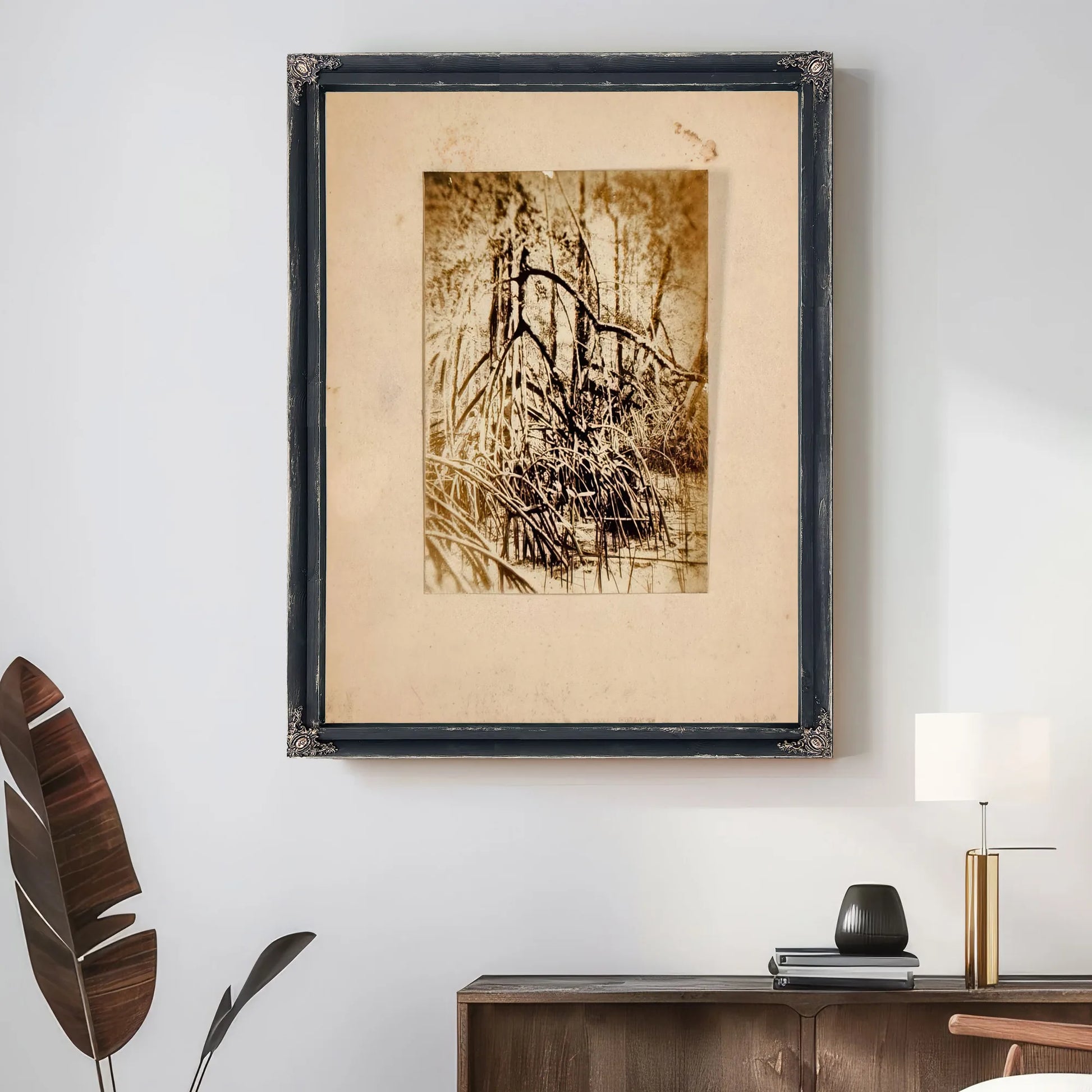 Photo Of Marsh, Study Folder For Book Concealing Coloration In The Animal Kingdom By Abbott Handerson Thayer Fine Art Print