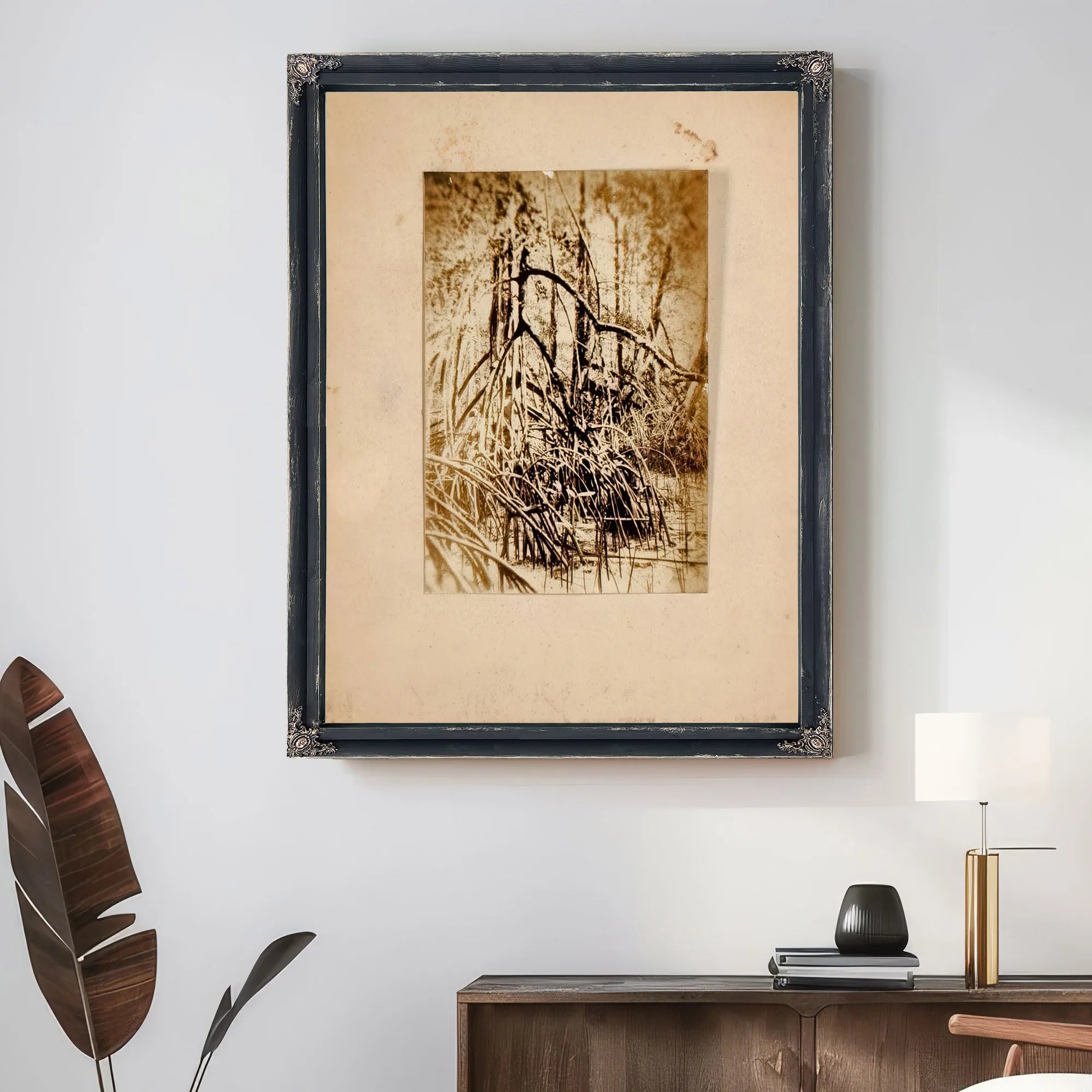 Photo Of Marsh, Study Folder For Book Concealing Coloration In The Animal Kingdom By Abbott Handerson Thayer Fine Art Print