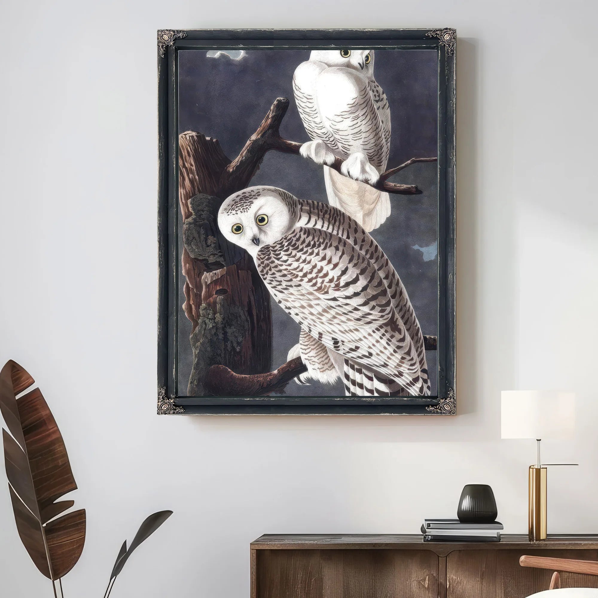 John James Audubon Snowy Owl 1838 By John James Audubon Fine Art Print