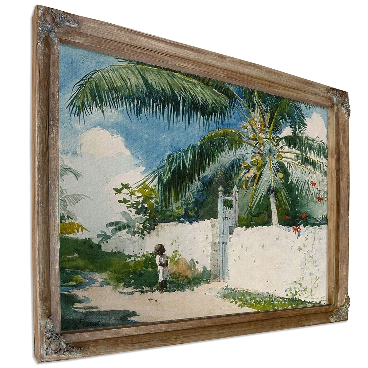 A Garden In Nassau By Winslow Homer