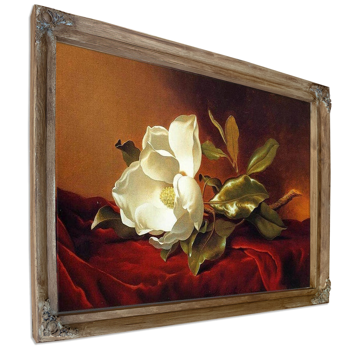 A Magnolia On Red Velvet By Martin Johnson Heade
